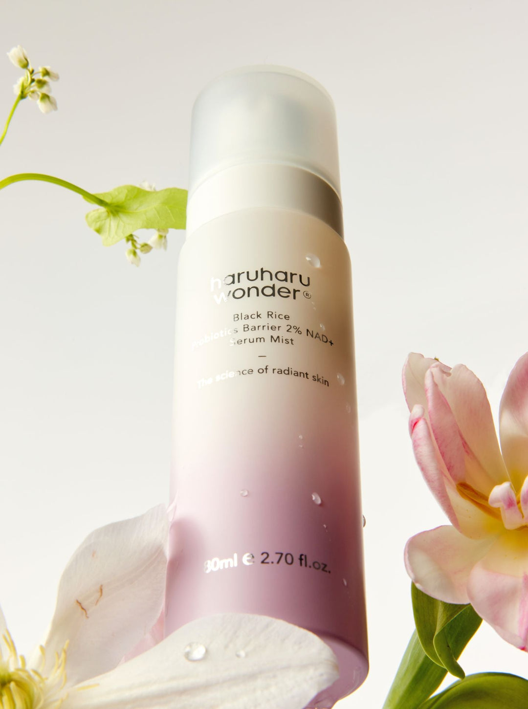 HARU HARU WONDER Black Rice Probiotics Barrier 2% NAD+ Serum Mist, 80 ml Koan Beauty