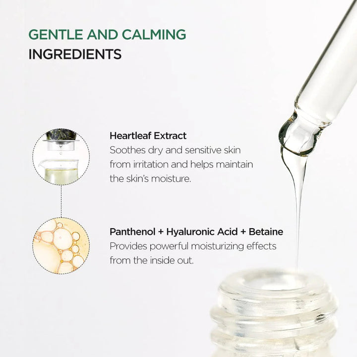 ANUA Ser Soothing Ampoule 80% Heartleaf Koan Beauty