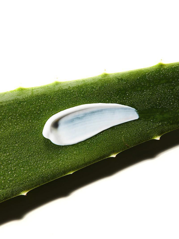 COSRX Aloe Soothing Sun Cream SPF 50 PA+++ Koan Beauty