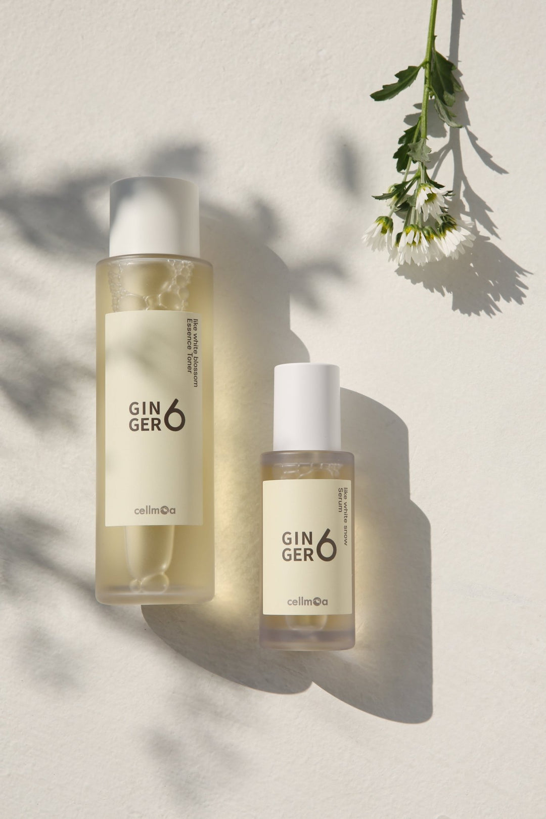 GINGER6 Toner si Serum - Koan Beauty - cosmetice coreene - skincare